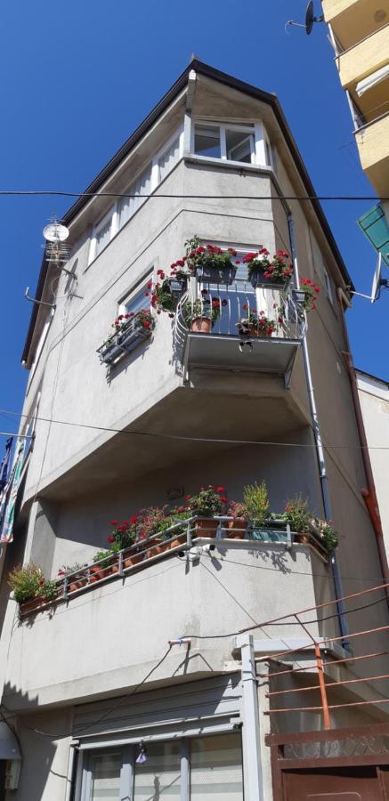 Vila Nikolla Pogradec Exteriér fotografie